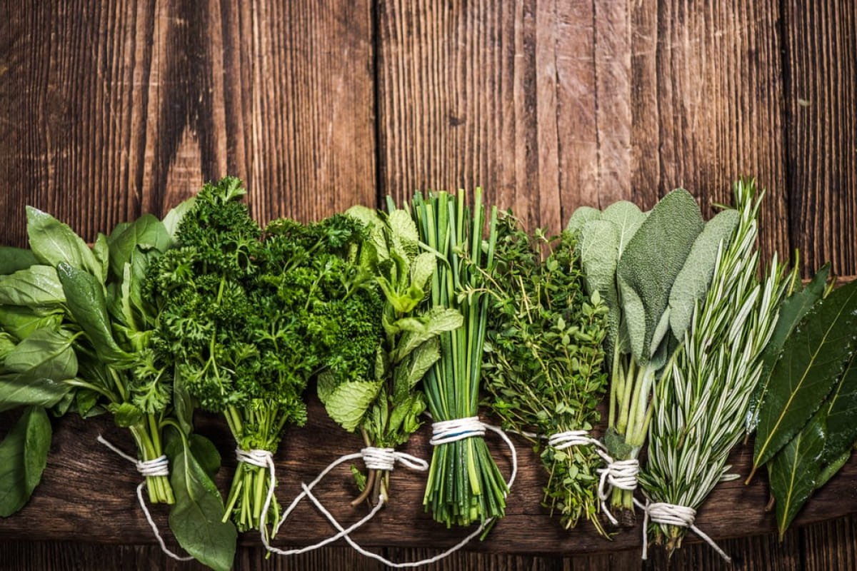 Verduras verdes que ayudan a normalizar la presión arterial